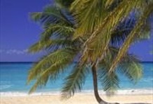 Sea Adventure River Cruise